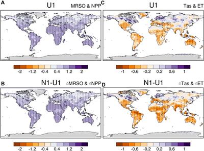 Impact of radiative forcing of spatially varying CO2 concentrations on net primary production